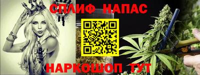 амф Кудрово