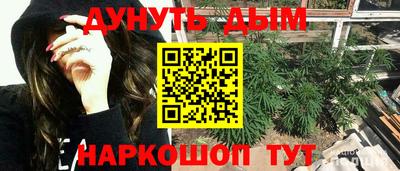 амф Кудрово