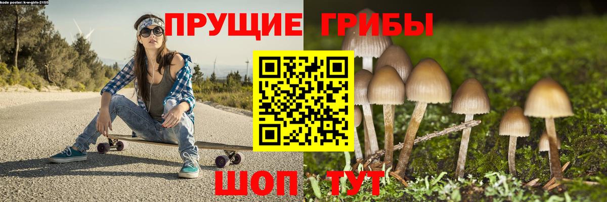 Галлюциногенные грибы Psilocybine cubensis Долгопрудный
