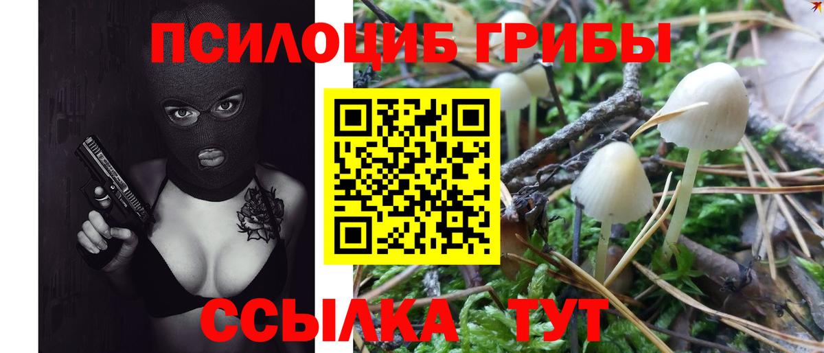 Долгопрудный  Псилоцибиновые грибы мухоморы  Вход с VPN  Псилоцибиновые грибы Psilocybine cubensis 